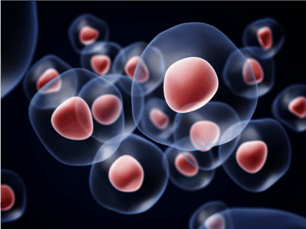 How Stem Cell Therapy Is Used In Orthopedics