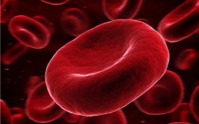 Platelet Rich Plasma (PRP) Injections – What is PRP Therapy?