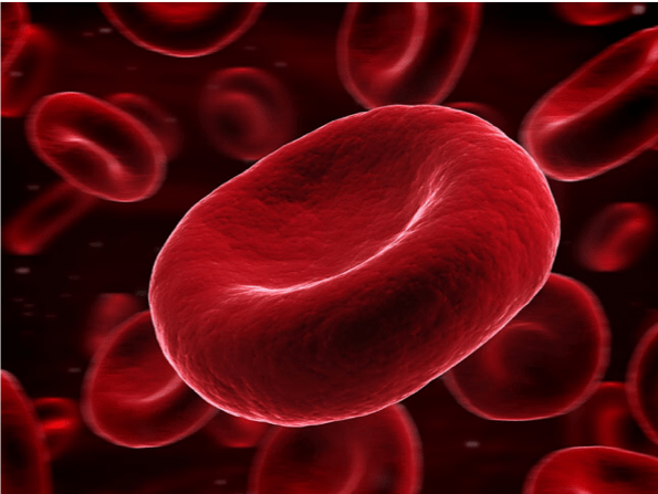 Platelet Rich Plasma (PRP) Injections – What is PRP Therapy?